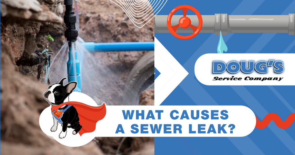 What Causes a Sewer Leak? Doug's Service Company