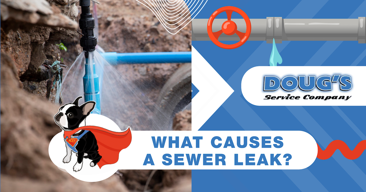 Dougs What Causes A Sewer Leak 1