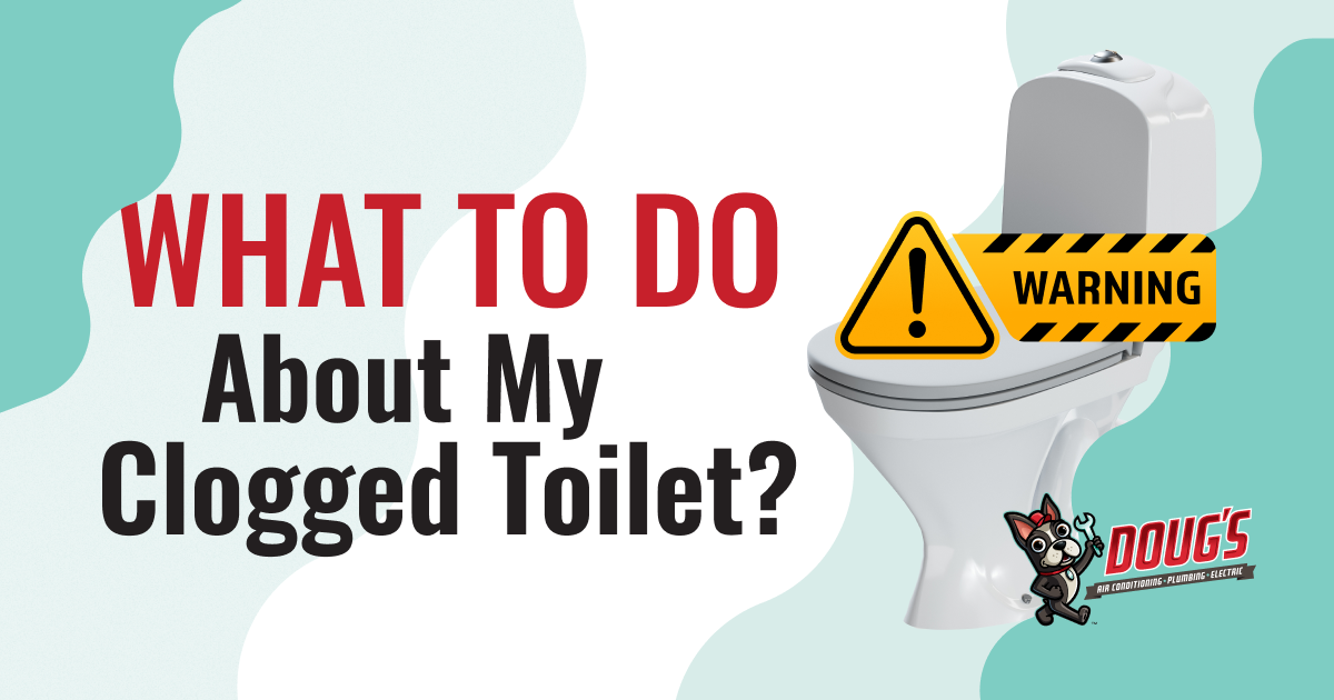 Dougs - What to do about my clogged toilet